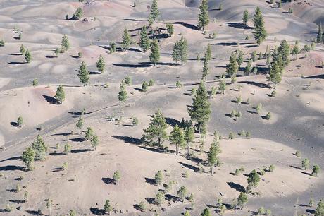 Los Sony World Photography Awards 2018 se presentan con nuevas categorías y un renovado programa de becas Sony World Awards 2018 Maroesjka Lavigne2