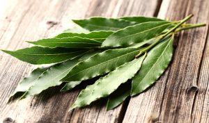 Curar los resfriados con eucalipto Curar los resfriados con eucalipto