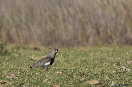 Salida hasta el boliche de Barroso
