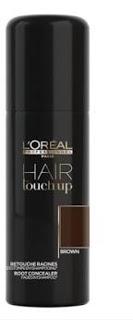 L'Oréal Hair Touch Up (Review)