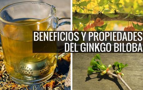 beneficios del ginkgo biloba