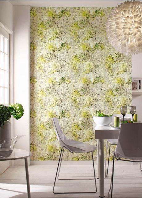 Paniculata Reality Ii