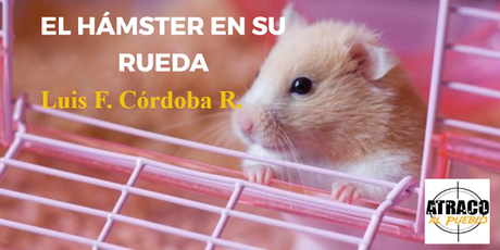 El HÁMSTER EN SU RUEDA.