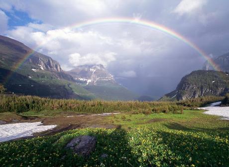 [A vuelapluma] La vida de la naturaleza y sus criaturas