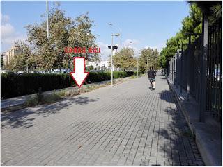 Ciclistas y peatones, una convivencia imposible en Valencia.