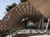 Renovación vernácula