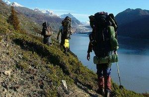 12 Ideas de Negocios Rentables Micro Pymes