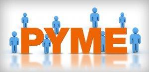 12 Ideas de Negocios Rentables Micro Pymes