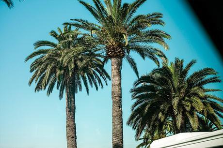 INSPIRATIONAL MONDAY #37