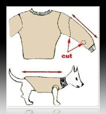 Como hacer vestuarios para perros - Paperblog