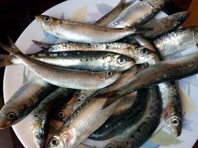 SARDINAS EN SALMUERA MARINADAS EN ACEITE DE OLIVA VIRGEN EXTRA