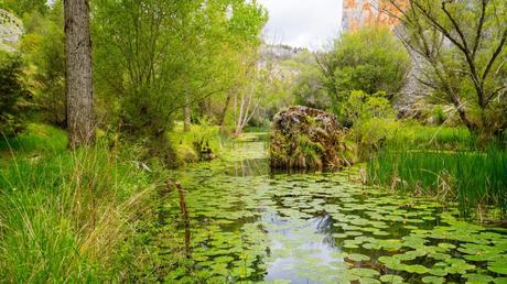 El crecimiento personal no es un cuento de hadas El crecimiento personal no es un cuento de hadas