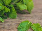 Remedio para dolor oído hierbabuena