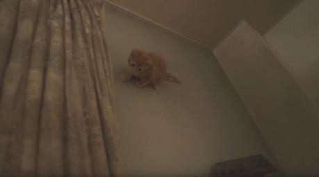 Un gato desafía la gravedad en este anuncio de Play Station, ¿uno de los mejores spots del año?