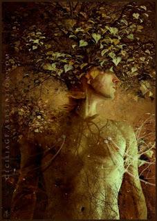 CloroFilia de Cristina Jurado: Reseña (Ed. Cerbero)