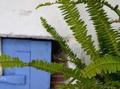 Cómo poner bonito horno antiguo