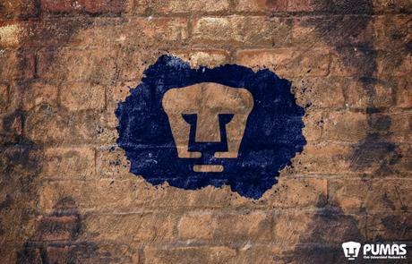 Primer refuerzo casi confirmado!