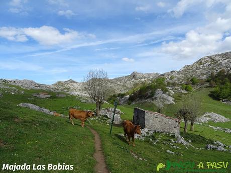 Majada las Bobias, camino entre el refugio de Vega de Ario y el Lago Ercina