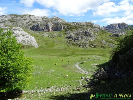 Ruta al Cantu Ceñal: Subiendo por la canal de la Vega del Bricial