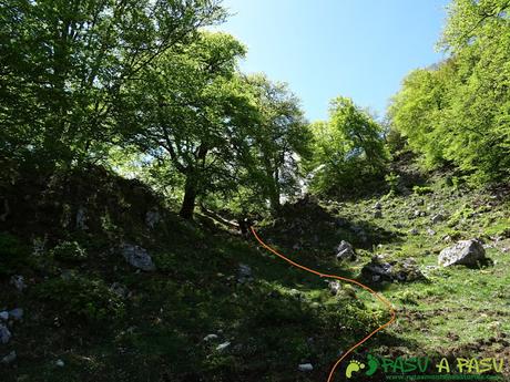 Ruta al Cantu Ceñal: Bosque camino al Valle del Resecu