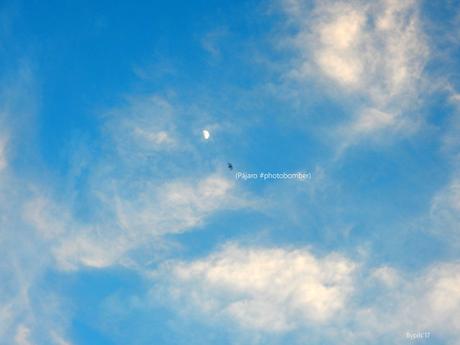 Luna escurridiza.