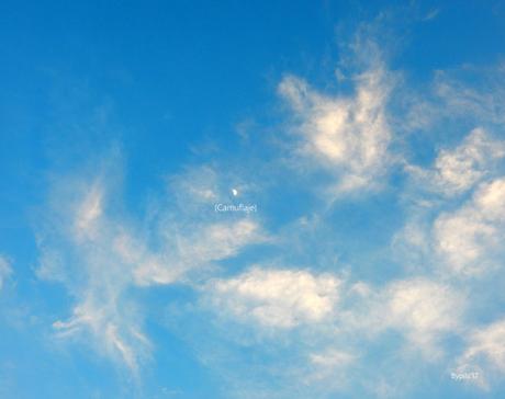 Luna escurridiza.