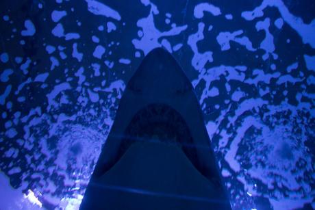 Canon Eos 800d Iso400 F 3 5 1 40 S