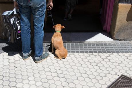 Canon Eos 800d Iso100 F 9 0 1 200 S