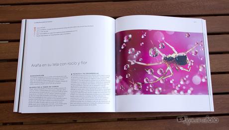 Fotoruta Serie50 Macrofotografia 02