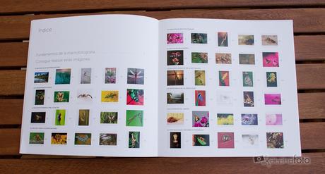 Fotoruta Serie50 Macrofotografia 04