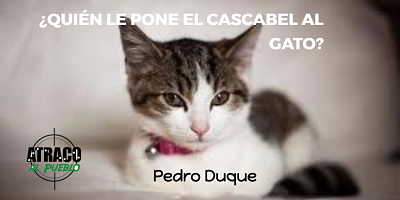 ¿QUIÉN LE PONE EL CASCABEL AL GATO?