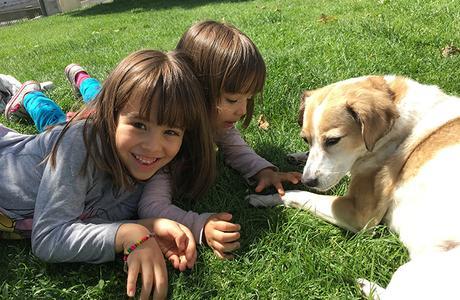 Niños y perros: Todo lo que deberías saber antes de tener una mascota