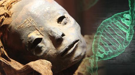 Científicos descifran por primera vez el ADN completo de momias de Egipto
