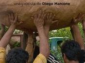 Reposiciones recomendadas