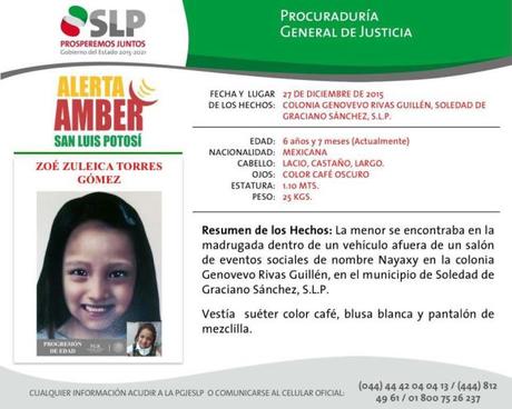 Crean proyección del rostro de Zoé Zuleica