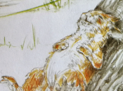 Martín llegada primavera (Sebastian Meschenmoser).