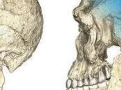 Marruecos, nueva cuna homo sapiens