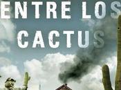 casa entre cactus