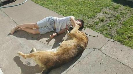 El emocionante reencuentro de un niño con su perro desaparecido