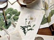 Plantas increibles poderes para piel Vol.1