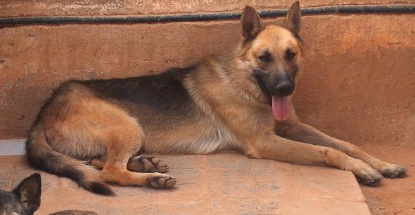 Valencia. PREGUNTA POR EL PLAN SENIOR... Y DANOS UN FINAL FELIZ.