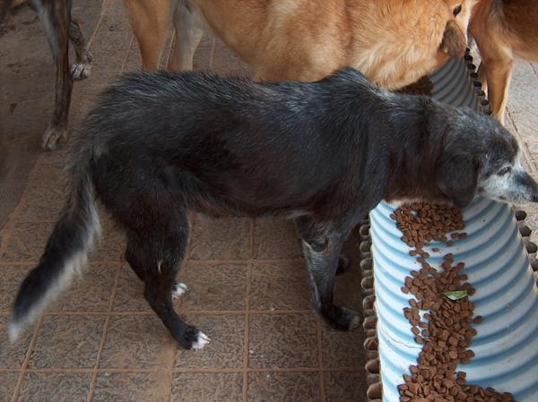 Valencia. PREGUNTA POR EL PLAN SENIOR... Y DANOS UN FINAL FELIZ.