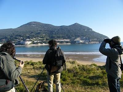 Ruta invernal por el Norte de España (I) - Sierra de la Demanda, Alto de Barazar y Marismas de Santoña.