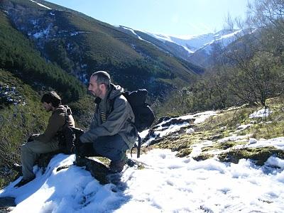Ruta invernal por el Norte de España (I) - Sierra de la Demanda, Alto de Barazar y Marismas de Santoña.