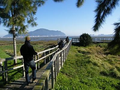 Ruta invernal por el Norte de España (I) - Sierra de la Demanda, Alto de Barazar y Marismas de Santoña.