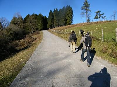 Ruta invernal por el Norte de España (I) - Sierra de la Demanda, Alto de Barazar y Marismas de Santoña.