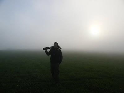 Ruta invernal por el Norte de España (I) - Sierra de la Demanda, Alto de Barazar y Marismas de Santoña.