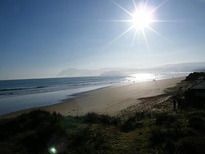 Ruta invernal por el Norte de España (I) - Sierra de la Demanda, Alto de Barazar y Marismas de Santoña.