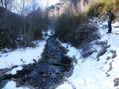 Ruta invernal por el Norte de España (I) - Sierra de la Demanda, Alto de Barazar y Marismas de Santoña.