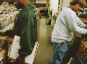 Shadow Endtroducing…..